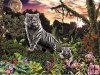 Świat białego tygrysa (look&find) - 1000 el