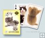 Karty Hanadeka - Cats - 1 talia x 55 kart do gry
