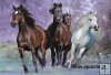 At Full Galop – 1000 el. At Full Galop – 1000 el.