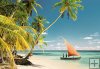 Maledives, Indian Ocean - 1000 el