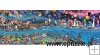 Life, PANORAMA – 3000 el. Life, PANORAMA – 3000 el.
