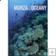 Morza i oceany