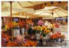 Campo de Fiori,Jan McLauhlin – 3000 el. Campo de Fiori,Jan McLauhlin – 3000 el.