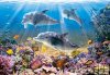 Dolphins Underwater - 500 el