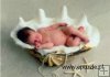 Clam Shell Baby, Anne Geddes– 1000 el. Clam Shell Baby, Anne Geddes– 1000 el.
