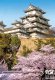 Himeji Castle, Japan - 500 el