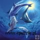 Joh Naito – Gry delfinów - 1000 el.