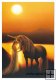 Enchanted Evening – 500 el. Enchanted Evening – 500 el.