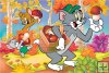Na Grzybach – Tom&Jerry – 160 el.